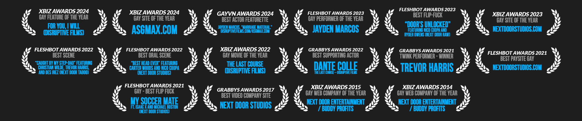ASGmax Award Winning Site