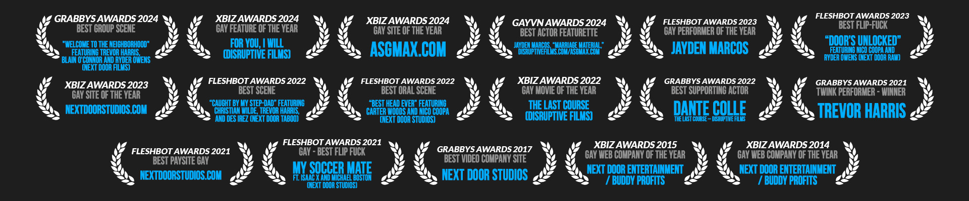 ASGmax Award Winning Site